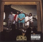 Terror Squad - True Story