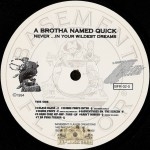 A Brotha Named Quick - Never In Your Wildest Dreams