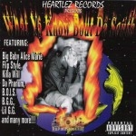 Heartlez Records Presents - What Ya Know Bout Da South